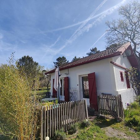 D&D, La Maison Des Ecureuils Lesperon  Экстерьер фото